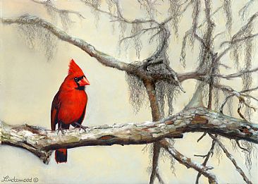 366x261 Northern Cardinal - Winter Cardinal Painting