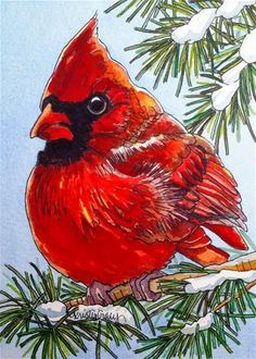 236x330 Bird Print - Winter Cardinal Painting