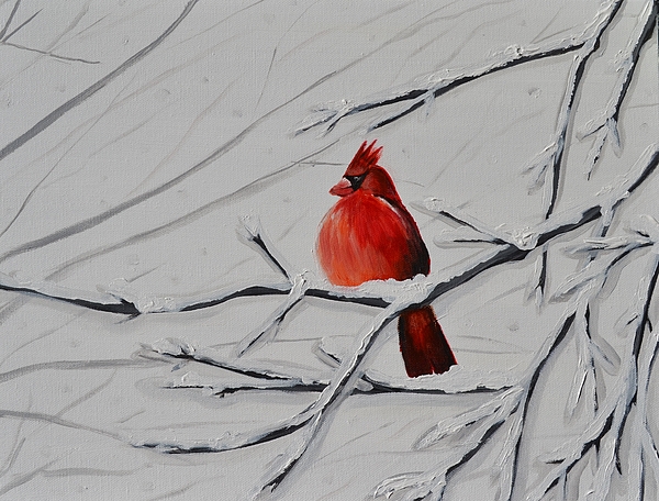 600x456 Winter Cardinal Painting By Holly Donohoe - Winter Cardinal Painting