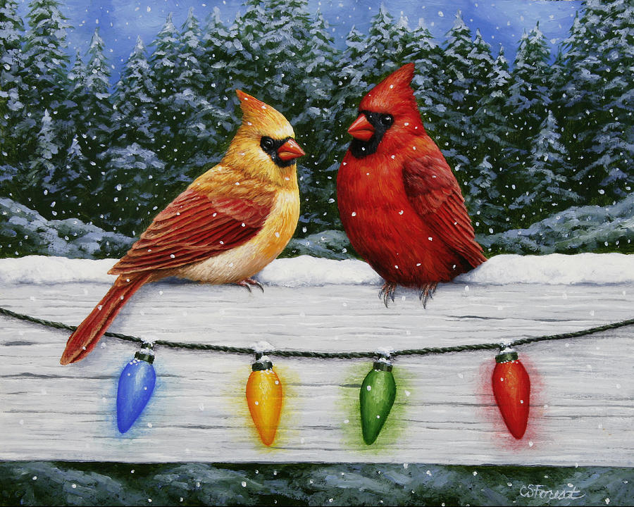 900x720 Winter Cardinal Red Bird Paintings Fine Art America - Winter Cardinal Painting