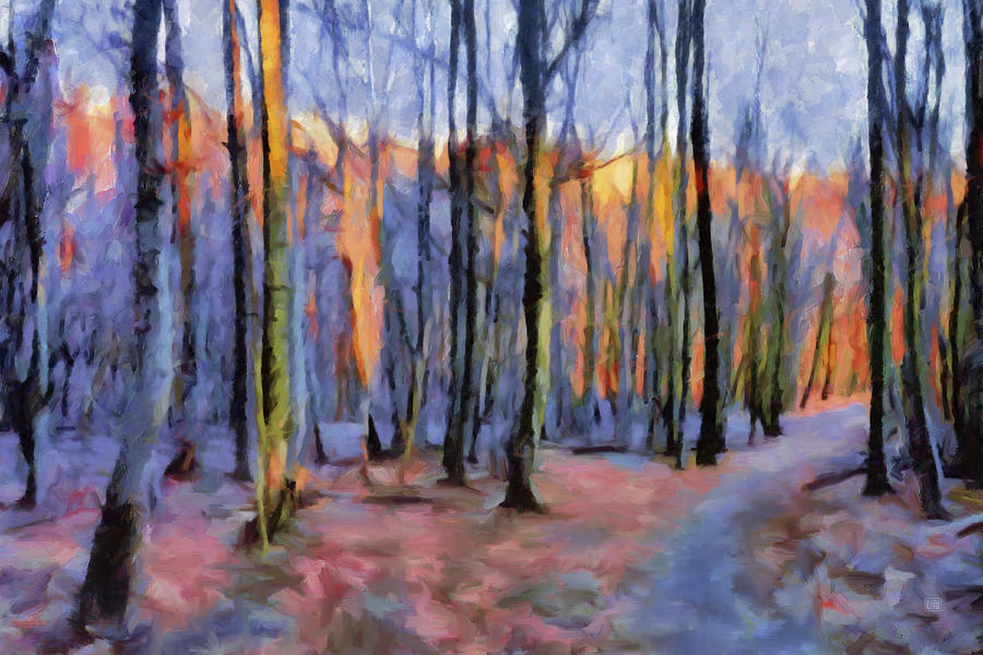 900x600 Winter Sunset In The Beech Wood Painting By Menega Sabidussi - Winter Sunset Painting