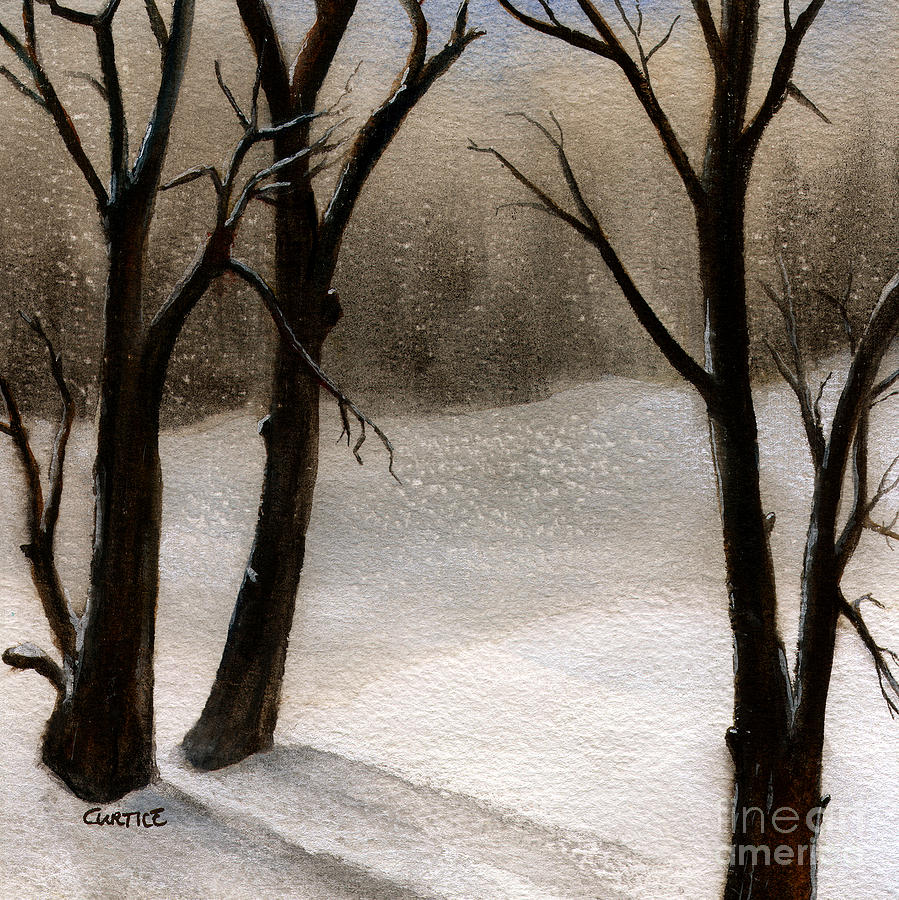 899x900 Winter Woods Painting By Carolyn Curtice - Winter Woods Painting