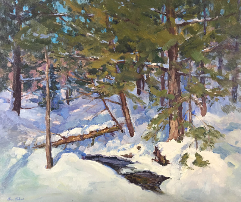 800x671 Eric Tobin Painting - Winter Woods Painting