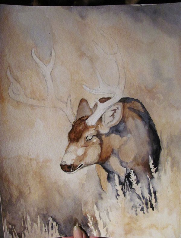 600x791 Deer Painting Wip Deer Watercolor Painting By Morrokko - Wip Painting