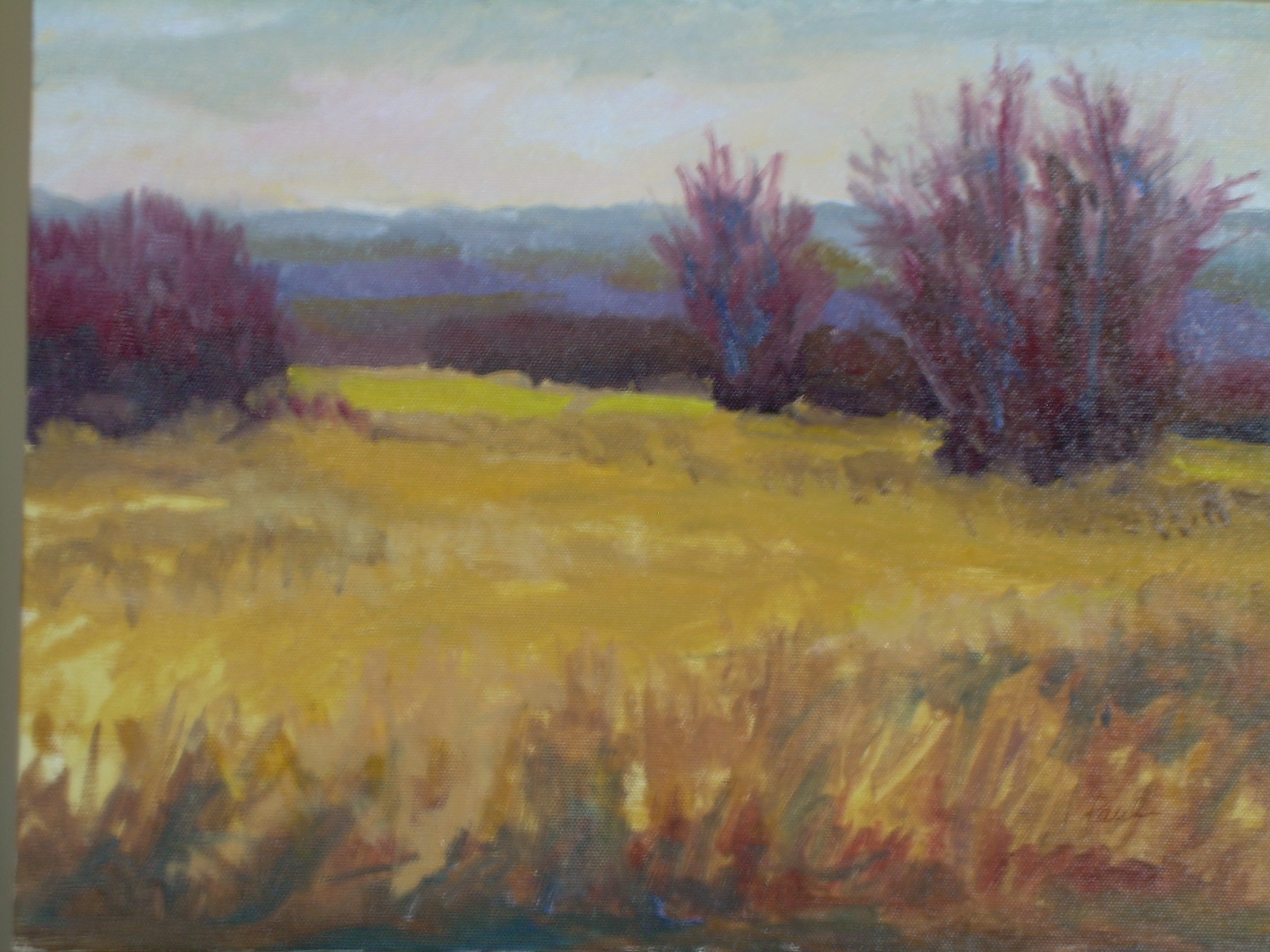 2272x1704 Gallery Sunarc Studio - Wisconsin Painting