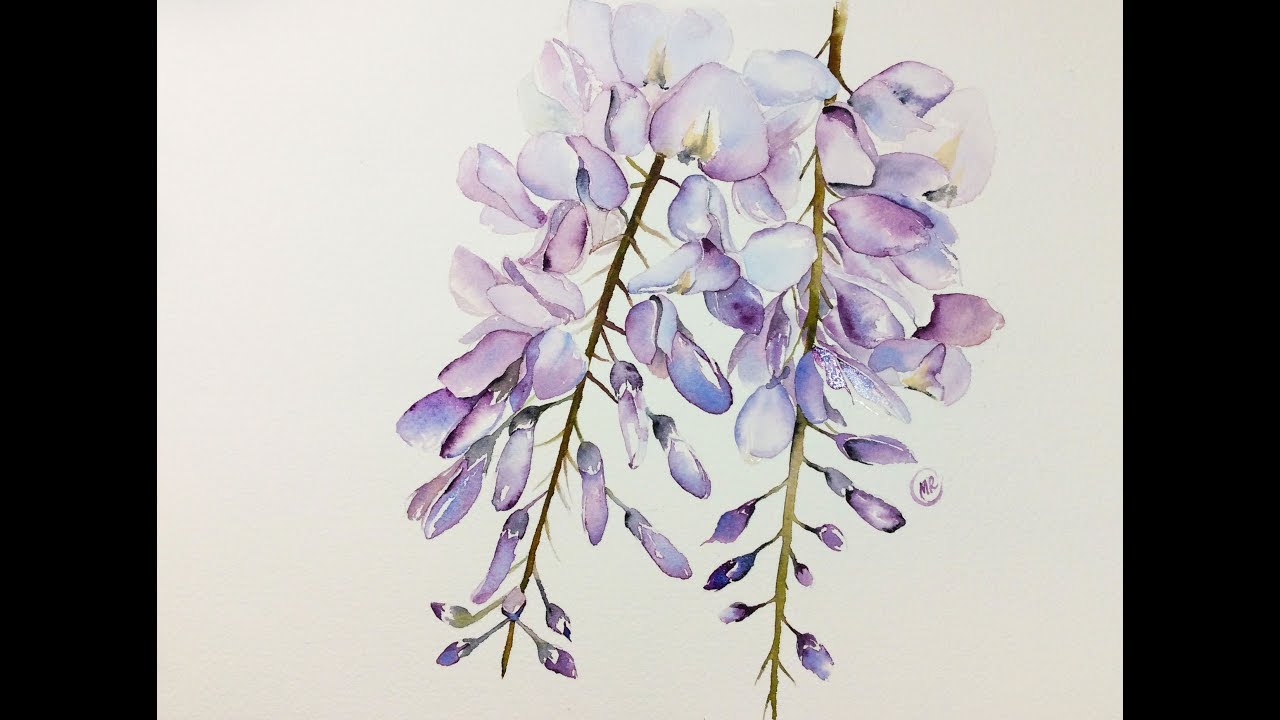 1280x720 Watercolor Wisteria Flowers Painting Demonstration - Wisteria Painting