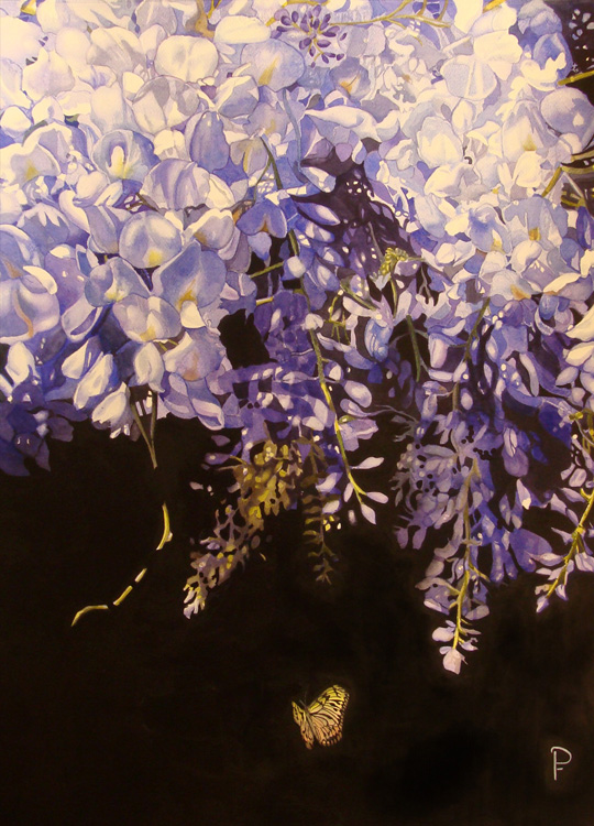 540x750 Watercolor By Design Wisteria Painting Accepted Into 150th - Wisteria Painting