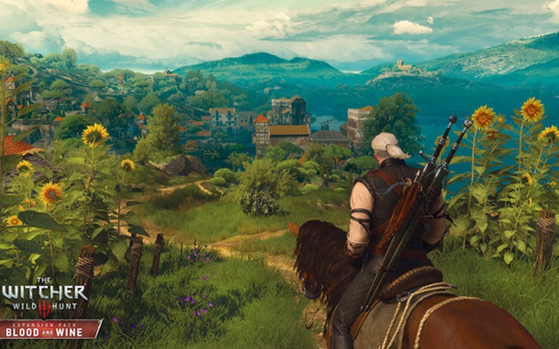 800x500 The Witcher 3 Wild Hunt - Witcher Painting