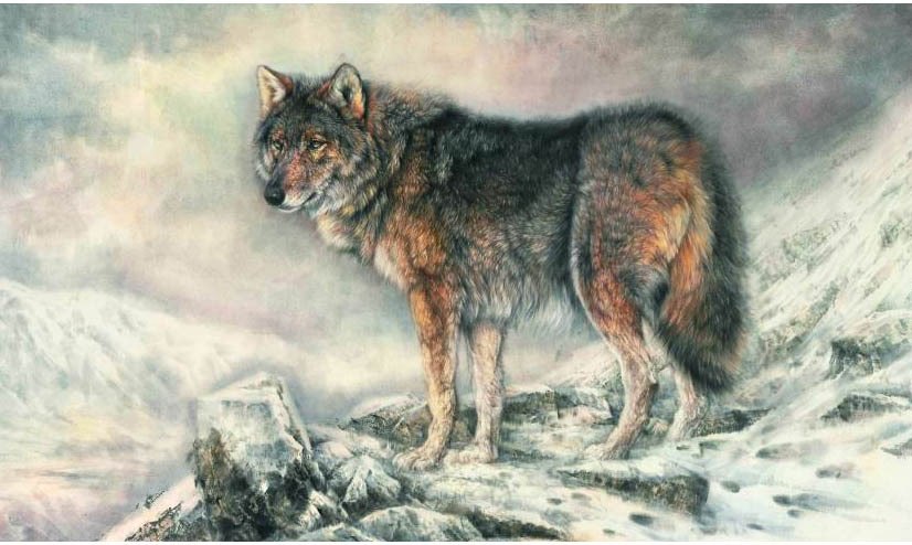 826x494 Hand Painted Modern Oil Painting, Home Decoration Painting - Wolf Abstract Painting