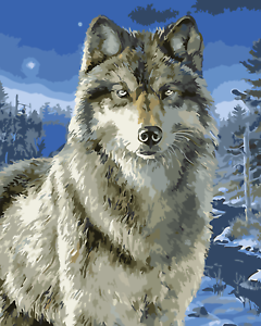 240x300 Paint By Number Kit Acrylic Painting 1620 On Canvas Wolf Winter - Wolf Acrylic Painting