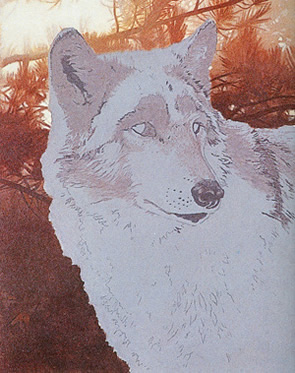 Wolf Acrylic Painting at PaintingValley.com | Explore collection of ...