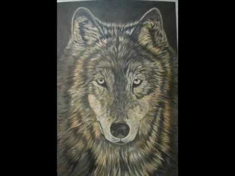 480x360 Wolf Step By Step.wmv - Wolf Acrylic Painting