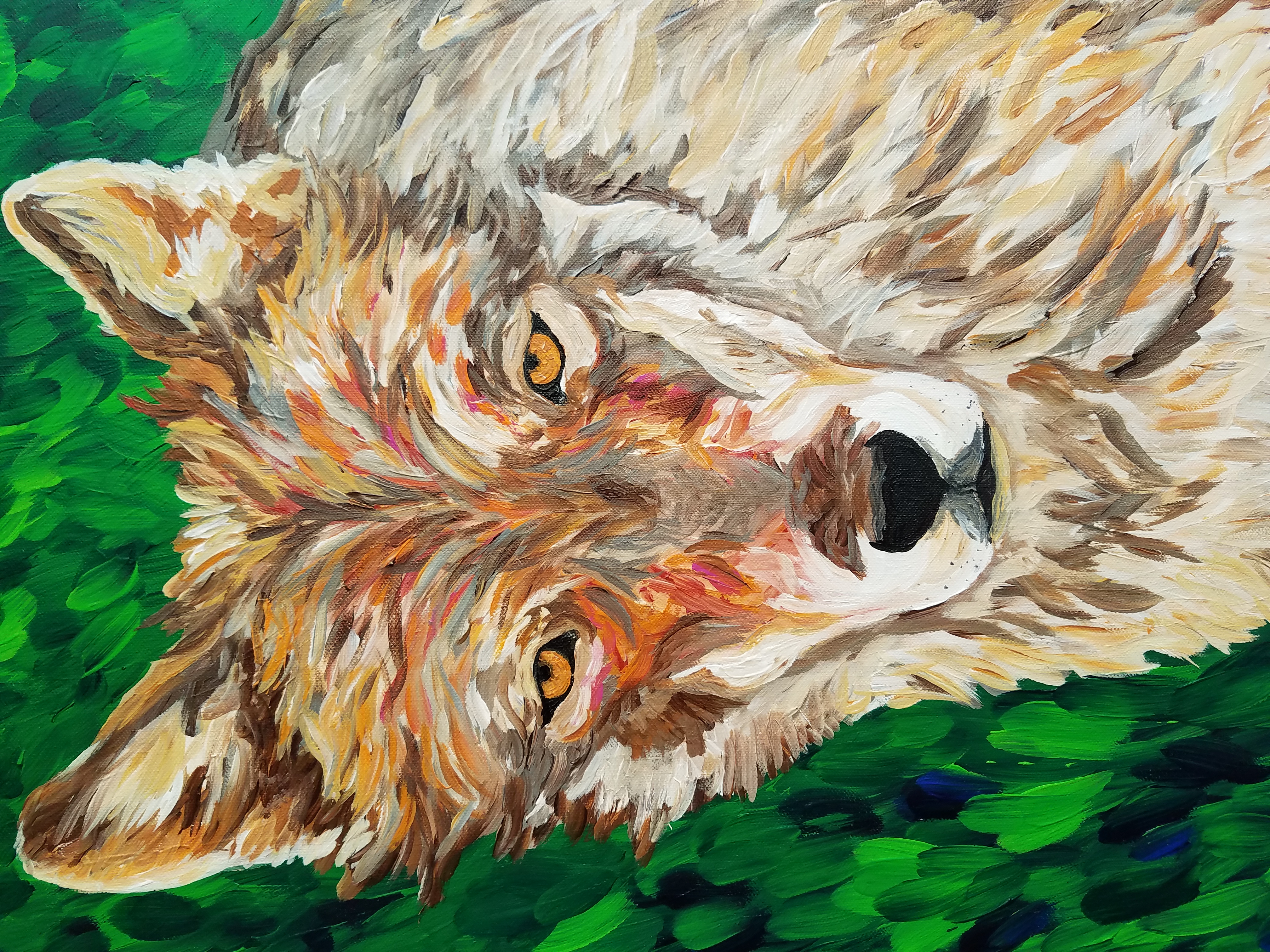 4032x3024 Wolf Acrylic Painting By Amber Ruehe - Wolf Acrylic Painting