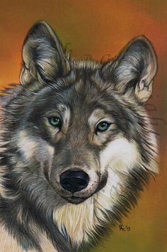 236x355 Free Acrylic Painting Lessons Pet Portraits Wolf Painting - Wolf Acrylic Painting