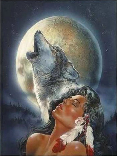 481x640 Crystallization Paste 5d Diy Diamond Painting Embroidery Kits - Wolf And Girl Painting