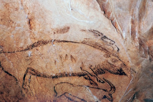 529x352 The Most Powerful Artwork I Have Ever Seen - Wolf Cave Painting