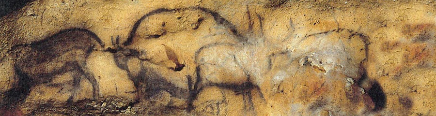 900x240 Cave Paintings Of Font De Gaume - Wolf Cave Painting
