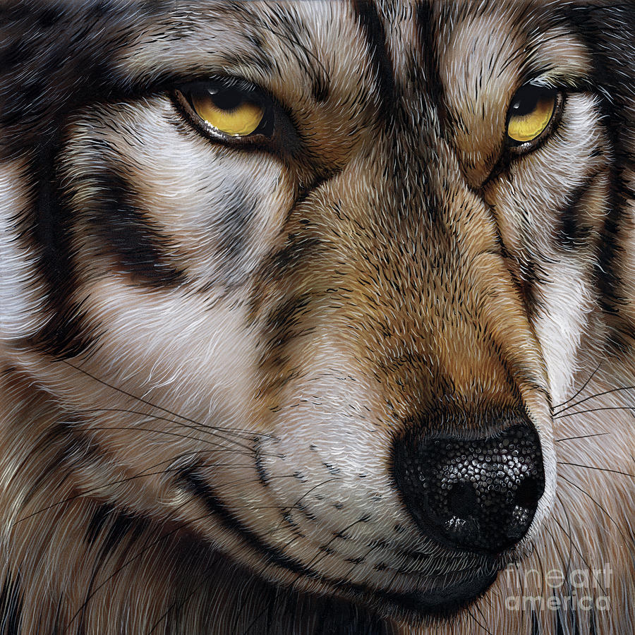 900x900 Wolf Eyes Paintings Fine Art America - Wolf Eyes Painting