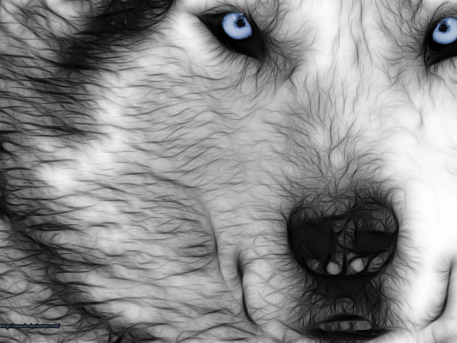 1600x1200 Wolf Eyes By Zanardo - Wolf Eyes Painting