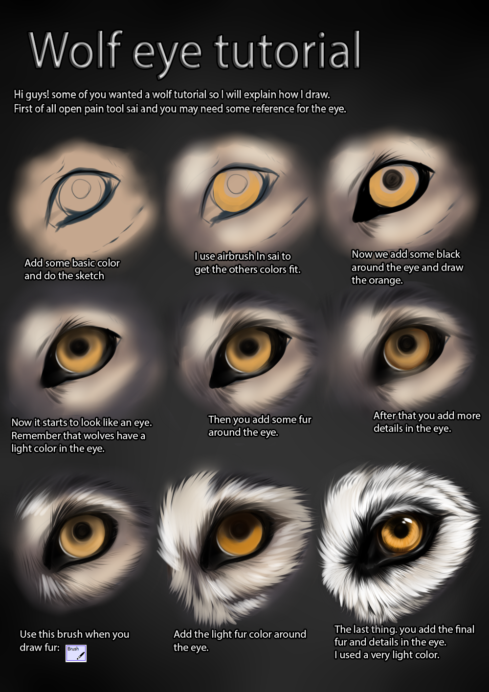 1000x1415 Wolf Eye Tutorial By Themysticwolf - Wolf Eyes Painting