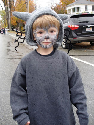 316x421 Face Painting - Wolf Face Painting