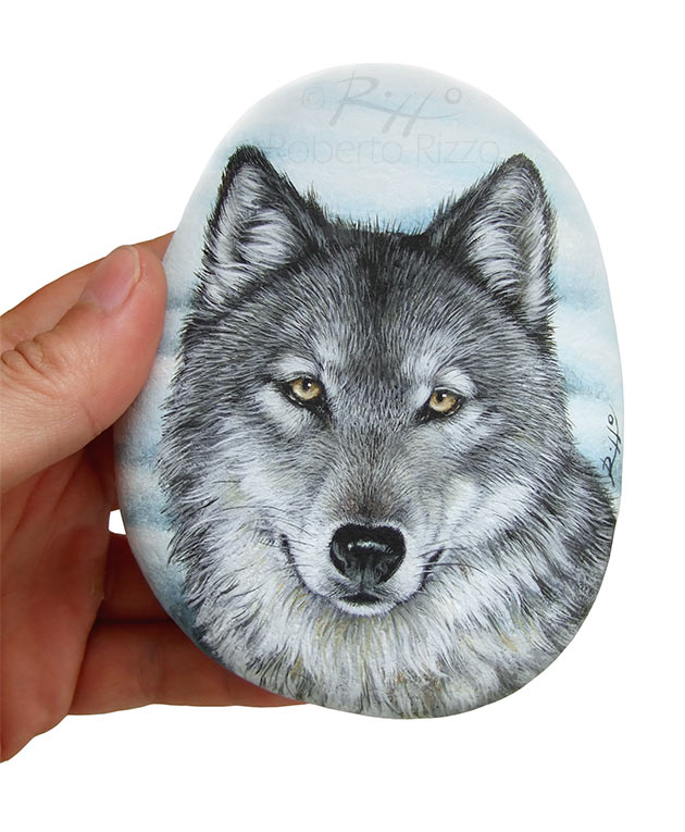 630x765 Rock Painted Puffin A Stunning Piece Of Art For All Of You - Wolf Head Painting