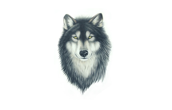 596x380 Wallpaper Face, Wolf, Dog, Head, Painting, Wolf Images For Desktop - Wolf Head Painting