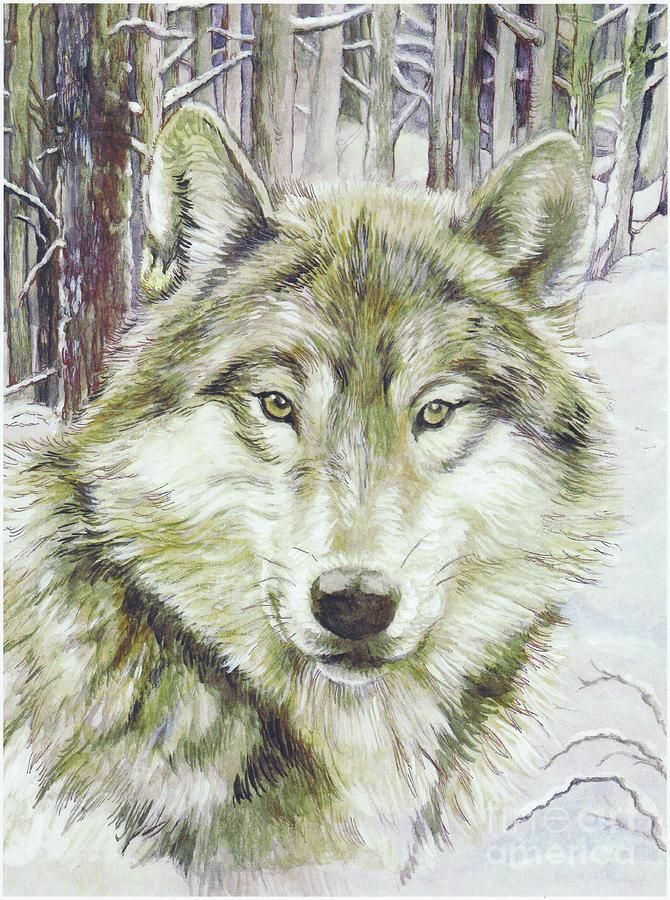 670x900 Wolf Head Painting By Morgan Fitzsimons - Wolf Head Painting