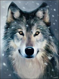 236x314 Dramatic Painting Art Wolf, Paintings And Animal - Wolf Head Painting