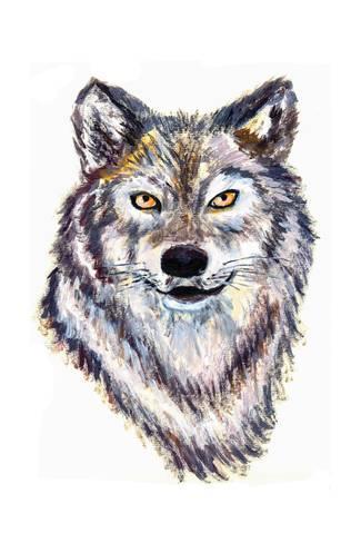 325x488 Oil Painting Wolf Head Art By Jim80 - Wolf Head Painting