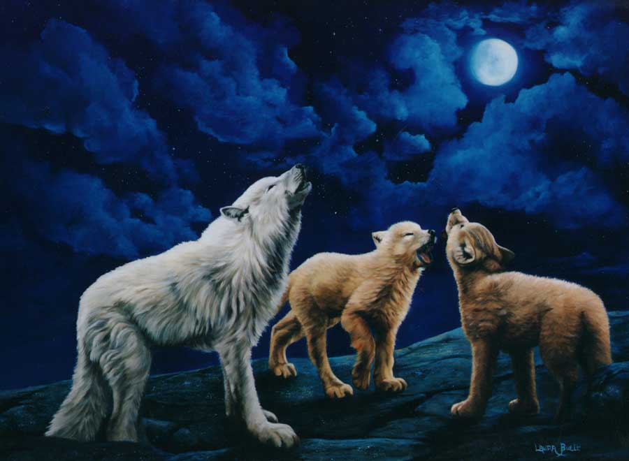 900x660 Wolves Howling Wildlife Art By Laura Curtin - Wolf Howling At The Moon Painting