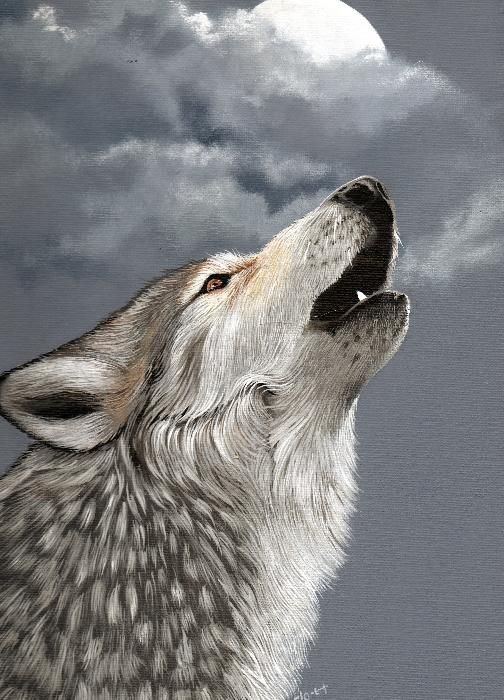 504x700 Moonlight Magnetism Grey Wolf Howling - Wolf Howling Painting