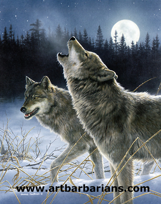 552x700 Wildlife Art Prints Plus Original Paintings With A Wide Selection - Wolf Howling Painting
