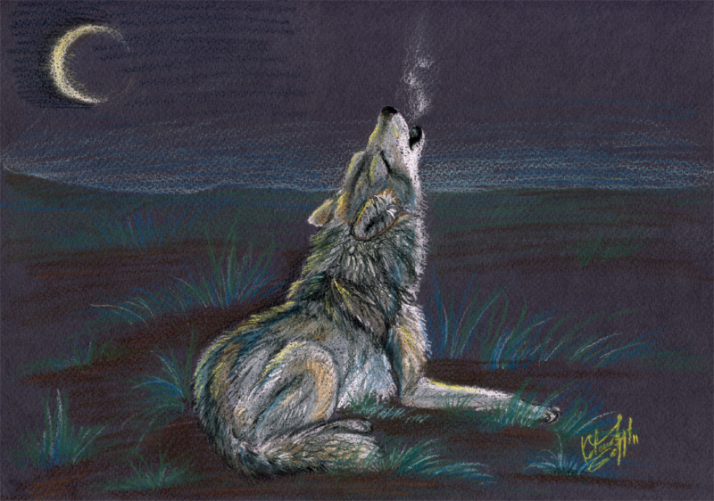 800x562 Wolf Howl By Kotenokgaff - Wolf Howling Painting