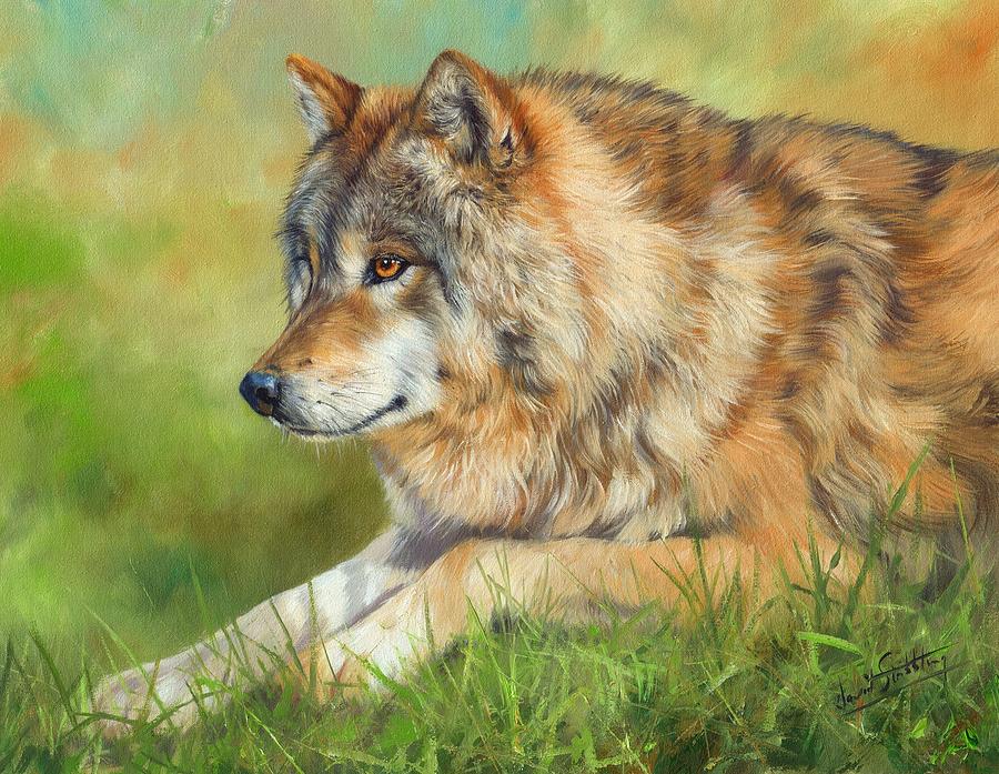 900x697 Grey Wolf Painting By David Stribbling - Wolf Oil Painting