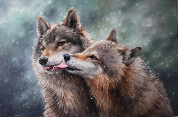 570x375 Kiss Of The Wolves Wolves Oil Painting Pair Of Wolves - Wolf Oil Painting