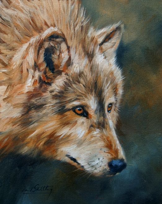523x656 Wolf Superb David Stribbling Oil Painting Ebay - Wolf Oil Painting