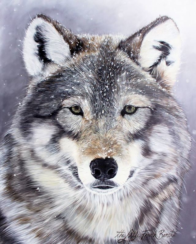 640x798 Artstation - Wolf Oil Painting