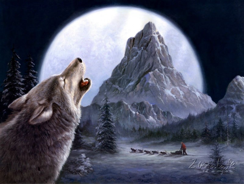 800x606 Canvas Print Animal Wolf Oil Painting Wall Art Picture Printed - Wolf Oil Painting