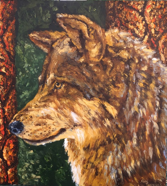 576x640 Cindy Pinnock Artwork Wolf Original Painting Oil Wildlife Art - Wolf Oil Painting