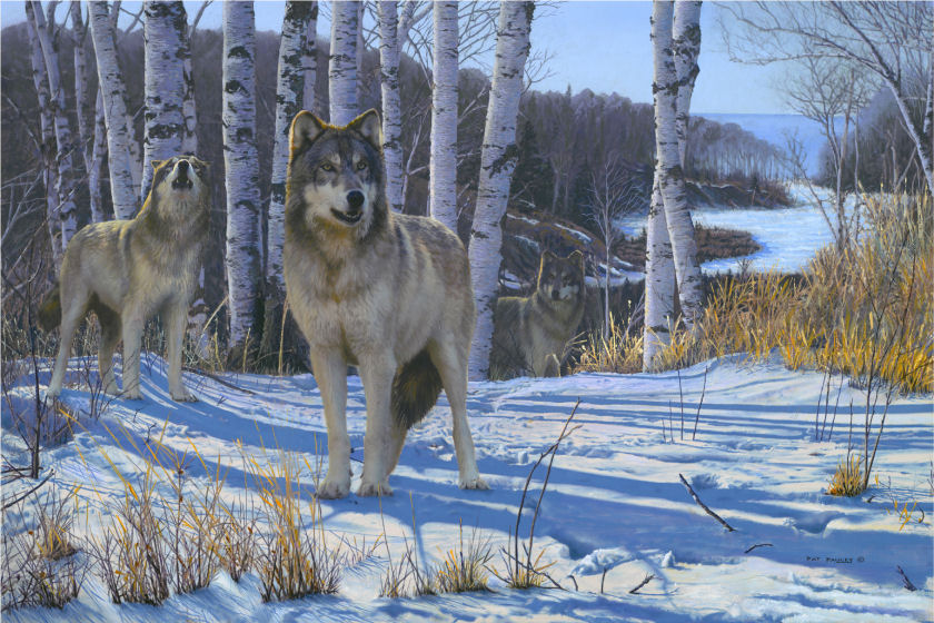 840x560 Gathering For The Hunt - Wolf Pack Painting