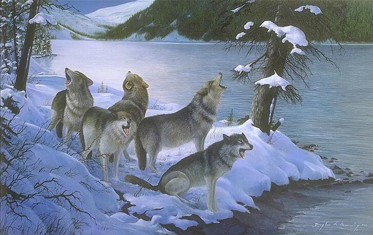 Wolf Pack Painting at PaintingValley.com | Explore collection of Wolf ...