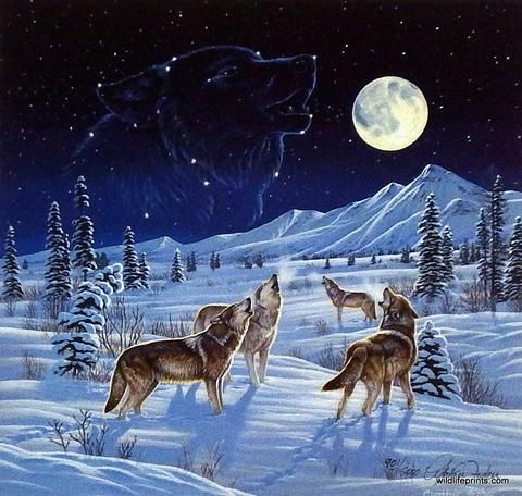 480x456 Cynthie Fisher Moonlight Serenade Moonlight, Wolf And Fisher Fc - Wolf Pack Painting