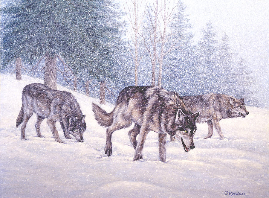 900x662 Following The Scent Painting By Richard De Wolfe - Wolf Pack Painting
