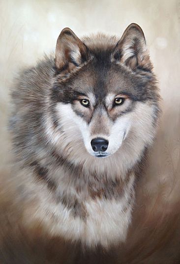 366x535 Wolf - Wolf Painting