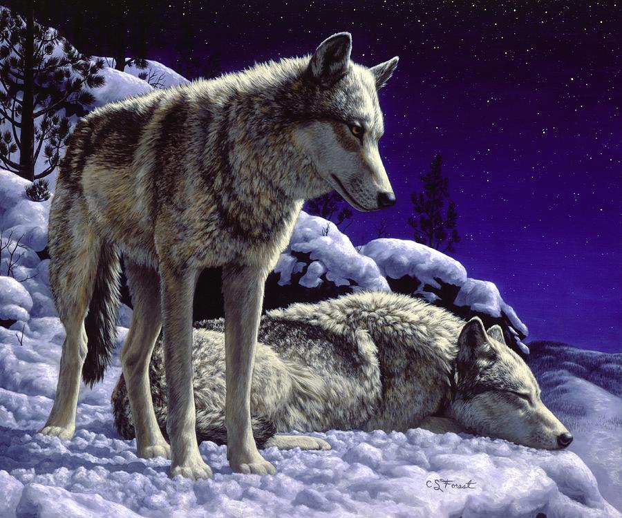 900x750 Wolf Painting - Wolf Painting