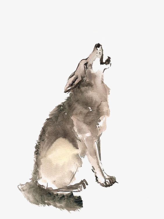 564x754 Wolf, Howl, Watercolor Wolf, Painted Wolf Png Image And Clipart - Wolf Painting Watercolor