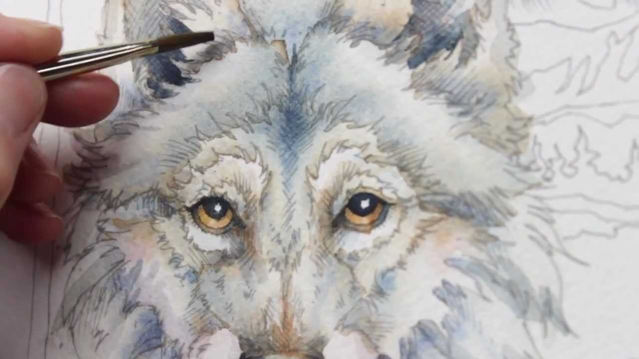 1280x720 How To Paint A Wolf By Jody Bergsma - Wolf Painting Watercolor