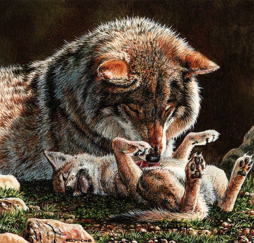 850x815 Wolf Mother And Pup By Esthervanhulsen - Wolf Pup Painting