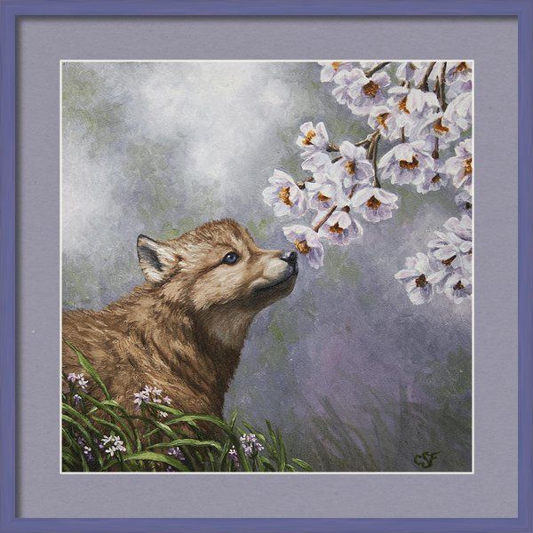 600x600 Wolf Pup - Wolf Pup Painting